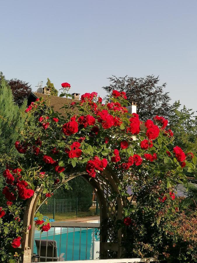 Le Domaine De Shania Provenchères-sur-Fave Εξωτερικό φωτογραφία