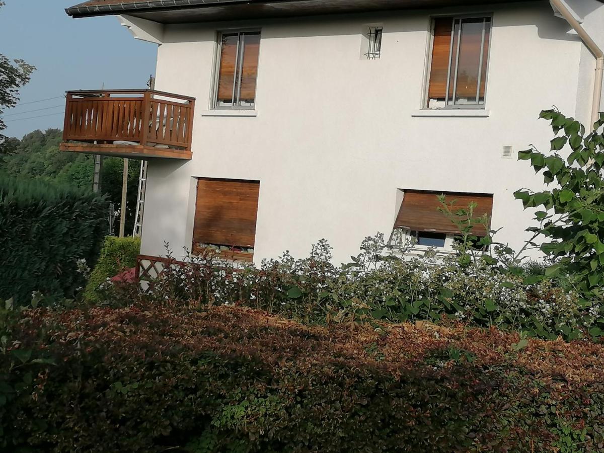 Le Domaine De Shania Provenchères-sur-Fave Εξωτερικό φωτογραφία