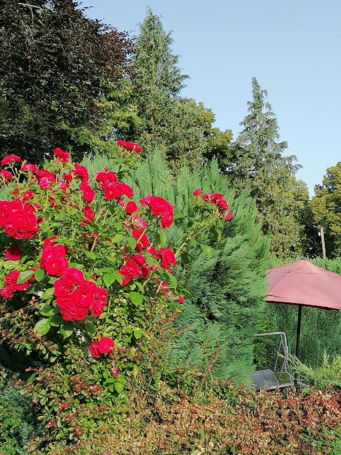 Le Domaine De Shania Provenchères-sur-Fave Εξωτερικό φωτογραφία