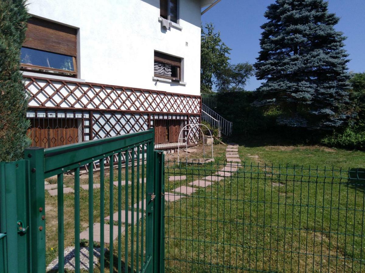 Le Domaine De Shania Provenchères-sur-Fave Εξωτερικό φωτογραφία