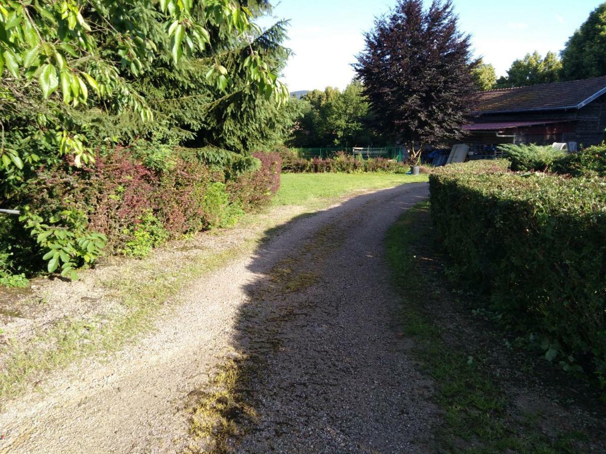 Le Domaine De Shania Provenchères-sur-Fave Εξωτερικό φωτογραφία